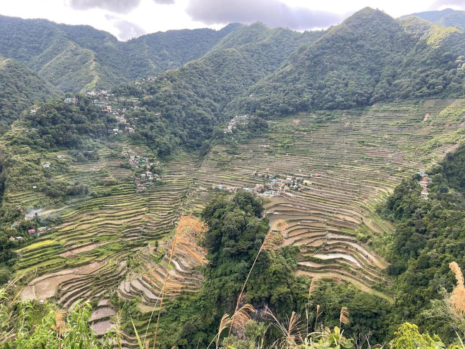 Batad Pension And Restaurant Banaue Exterior photo