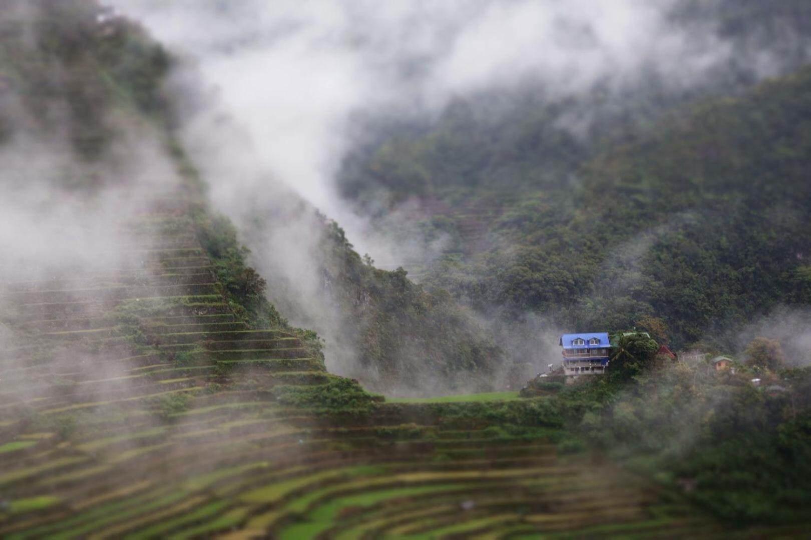 Batad Pension And Restaurant Banaue Exterior photo