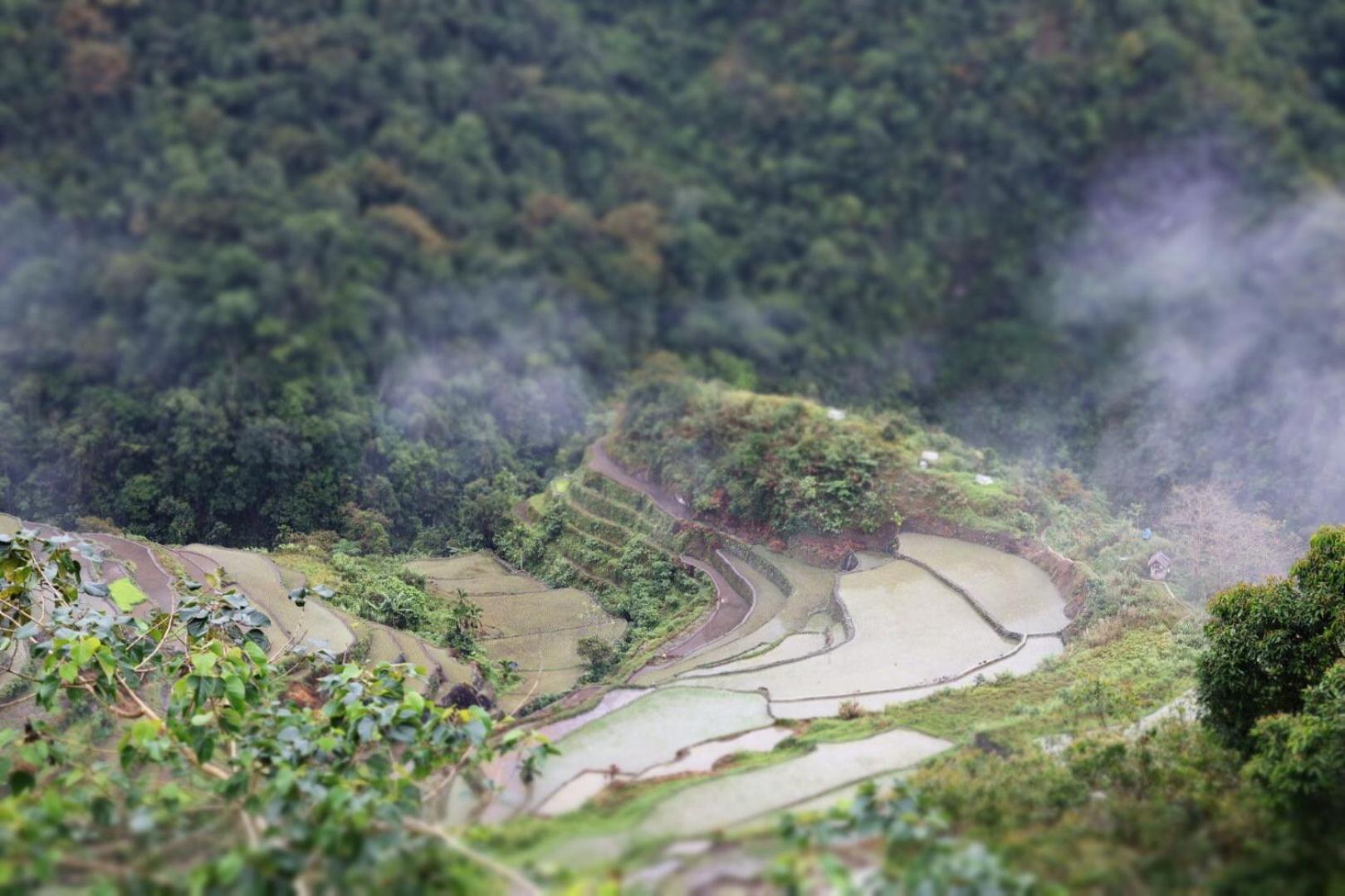 Batad Pension And Restaurant Banaue Exterior photo