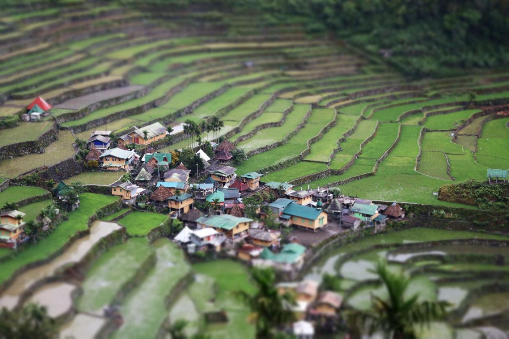Batad Pension And Restaurant Banaue Exterior photo